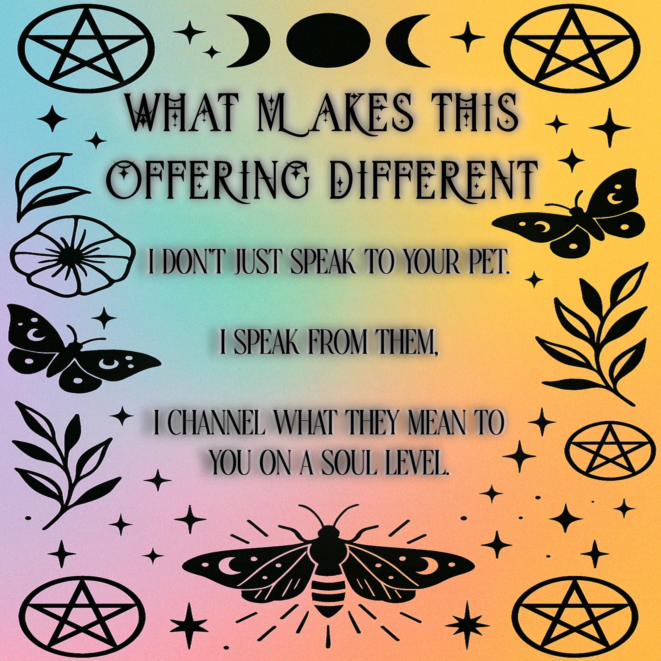Living Animal Reading - Soul Purpose/Check in