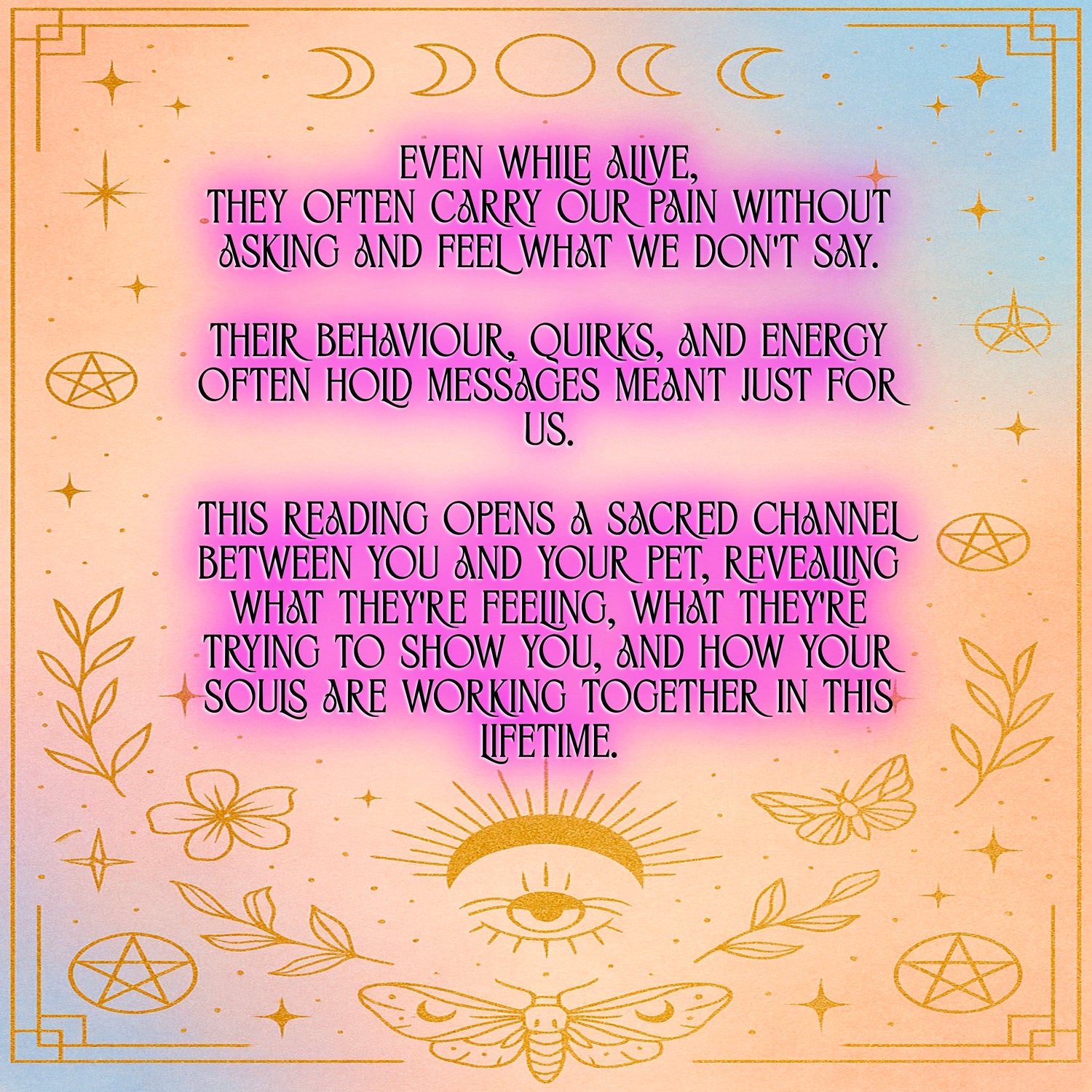 Living Animal Reading - Soul Purpose/Check in