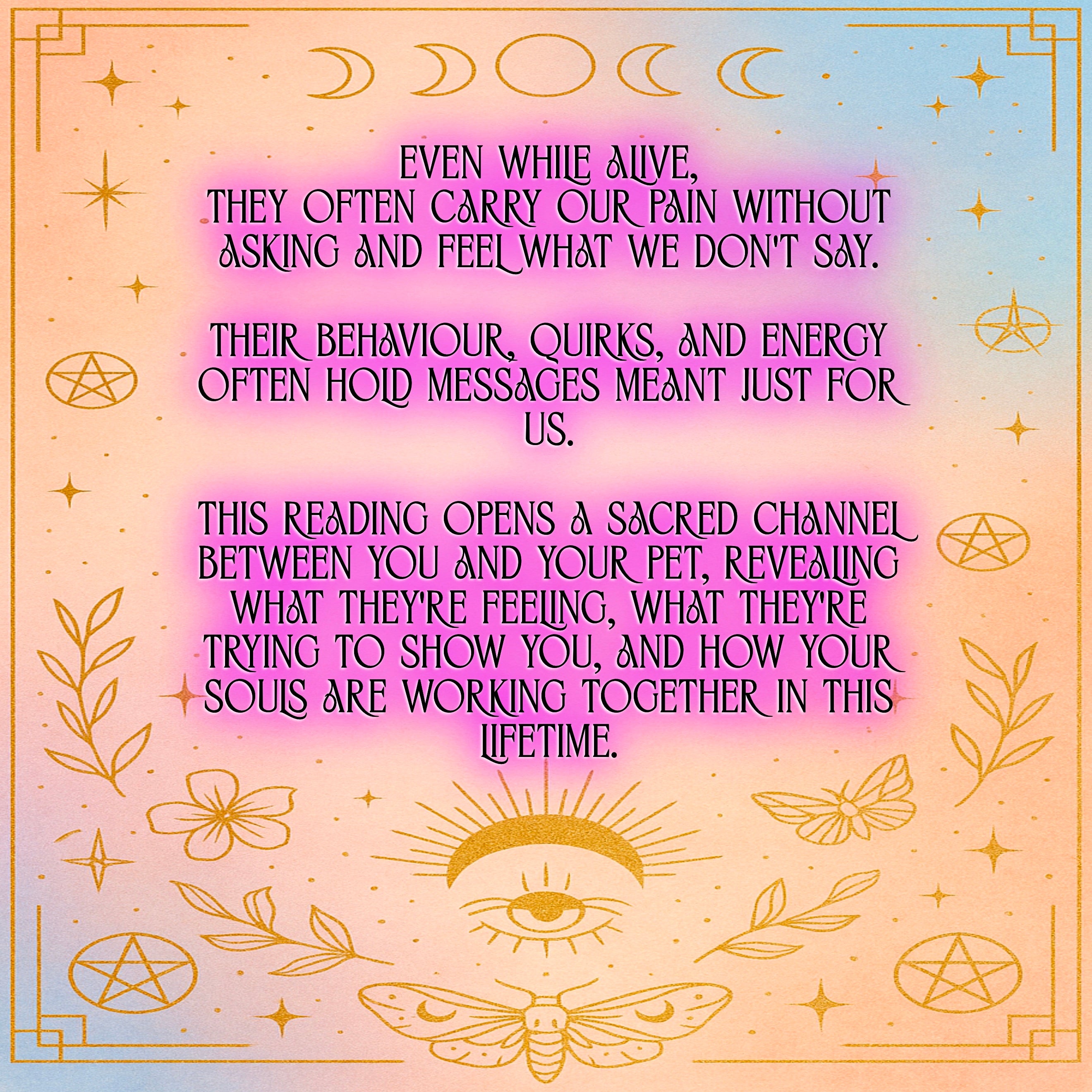 Living Animal Reading - Soul Purpose/Check in