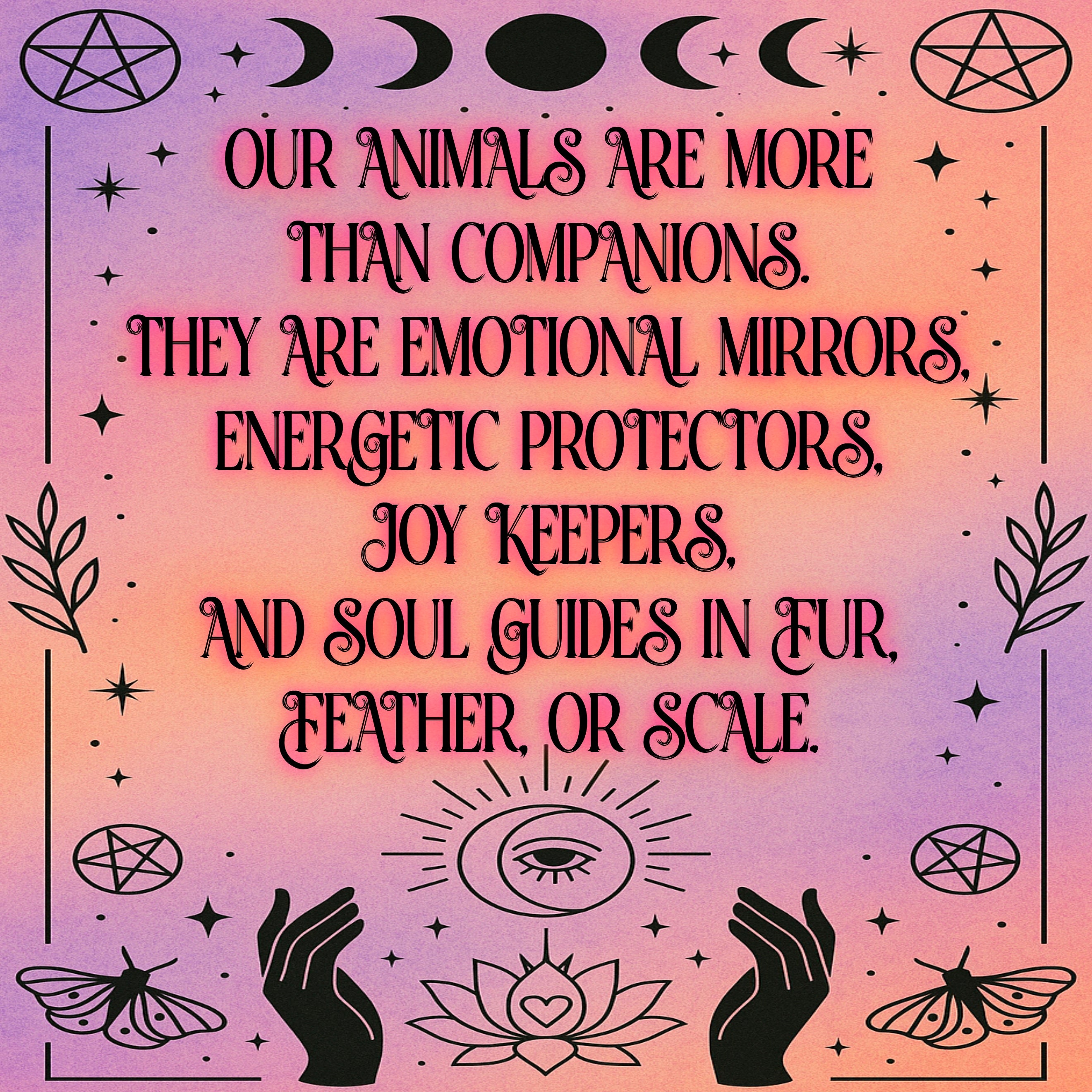 Living Animal Reading - Soul Purpose/Check in