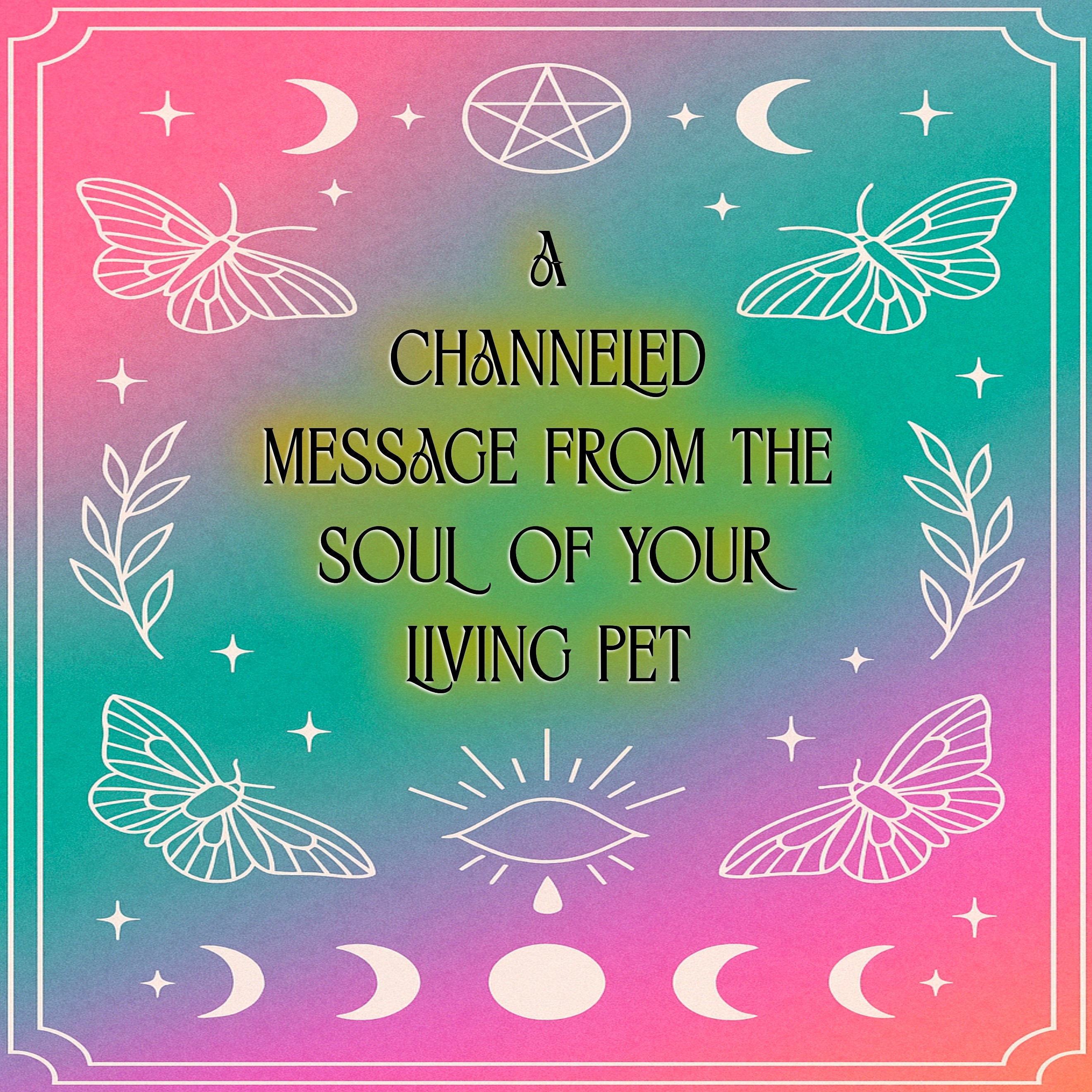Living Animal Reading - Soul Purpose/Check in