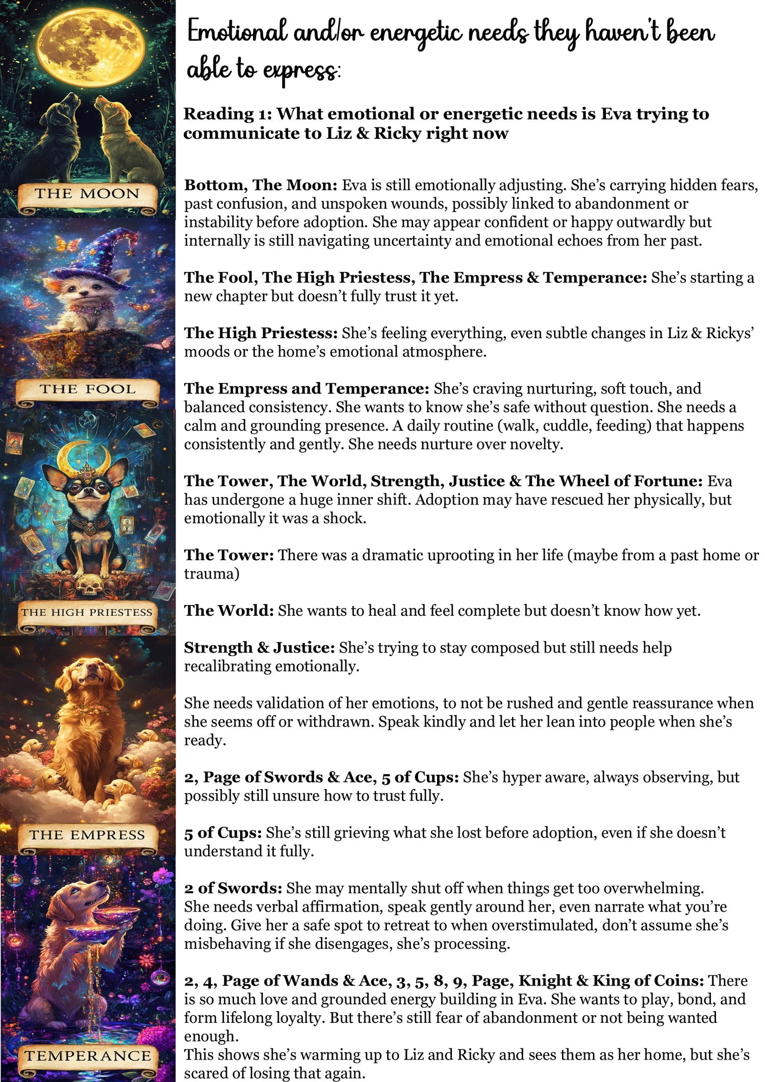 Living Animal Reading - Soul Purpose/Check in