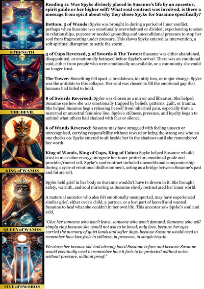 Deceased Animal Soul Reading - Peace/Closure