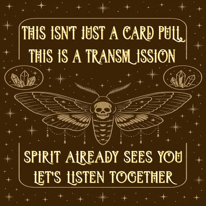 Mini Soul Check In - Quick Clarity/Emotional Reassurance