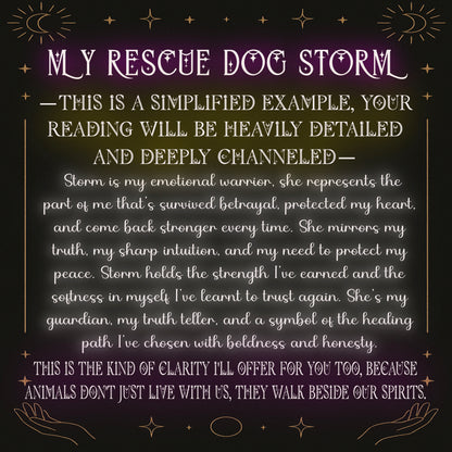 Living Animal Reading - Soul Purpose/Check in