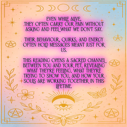 Living Animal Reading - Soul Purpose/Check in