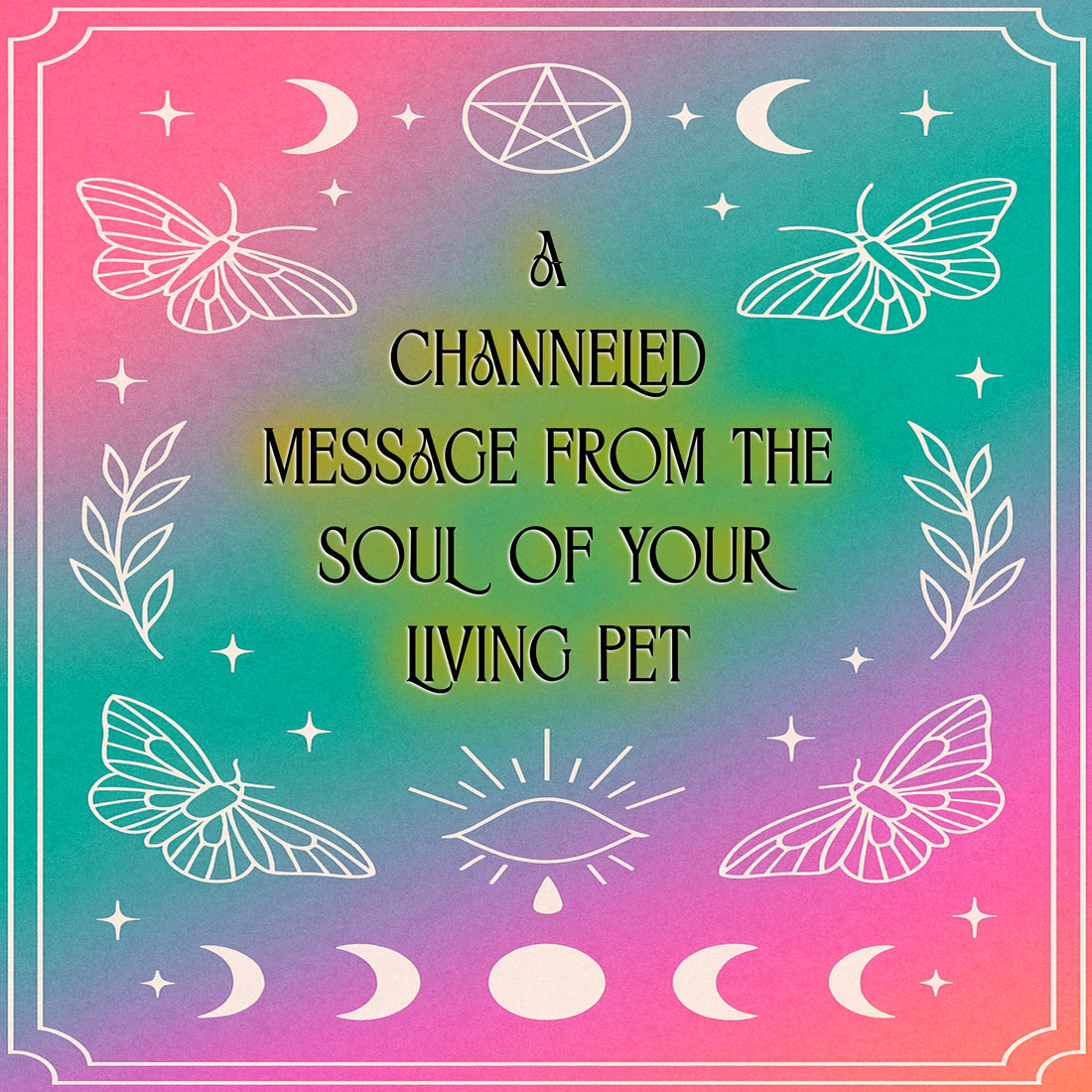 Living Animal Reading - Soul Purpose/Check in
