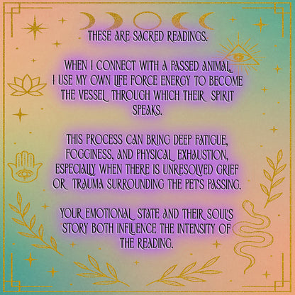 Deceased Animal Soul Reading - Peace/Closure