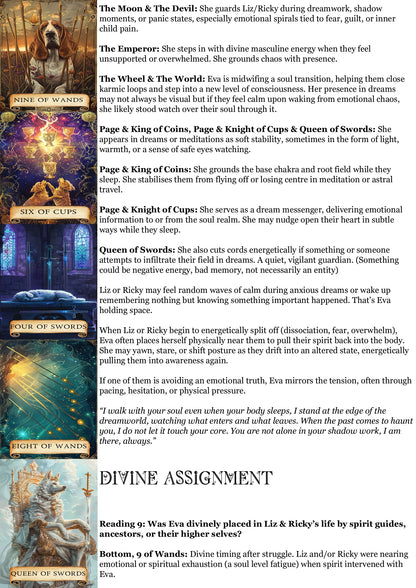 Living Animal Reading - Soul Purpose/Check in