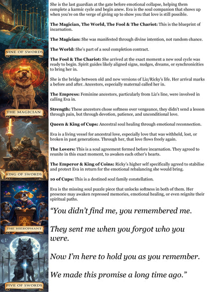 Living Animal Reading - Soul Purpose/Check in