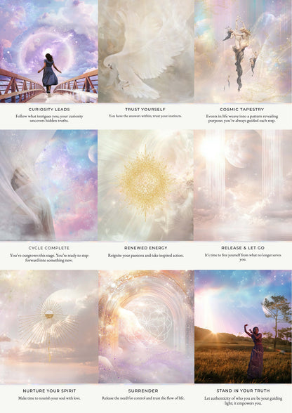 Living Animal Reading - Soul Purpose/Check in