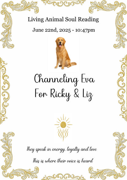 Living Animal Reading - Soul Purpose/Check in
