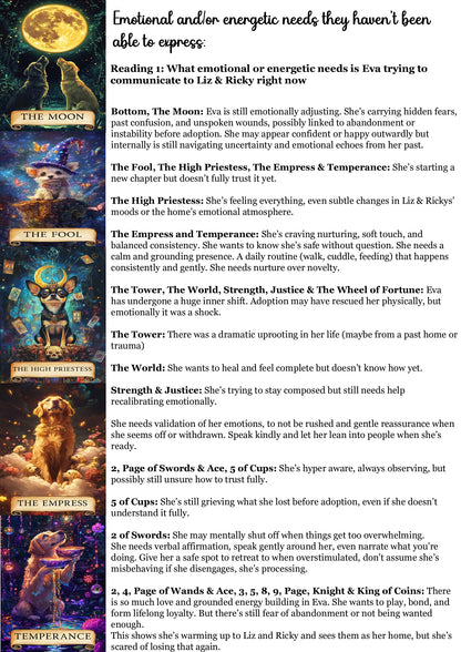 Living Animal Reading - Soul Purpose/Check in