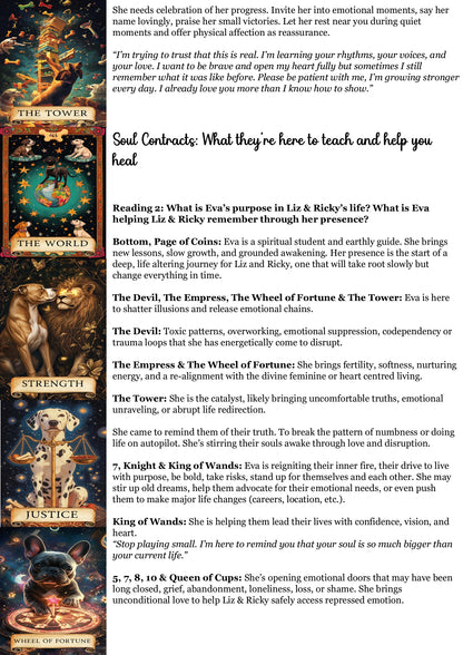 Living Animal Reading - Soul Purpose/Check in