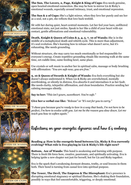 Living Animal Reading - Soul Purpose/Check in