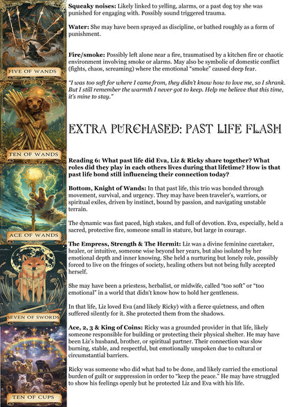 Living Animal Reading - Soul Purpose/Check in